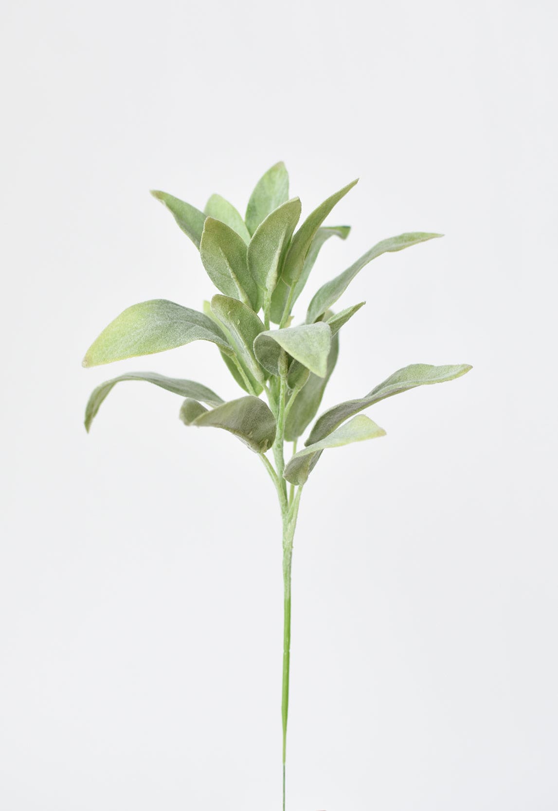 Sage Stem, 12", Green