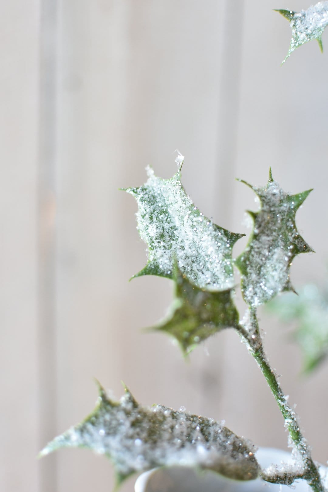 Winter Holly Stem, 30"