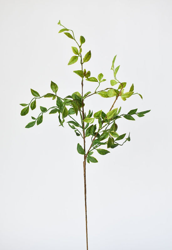 Nandina Leaf Stem, 32"