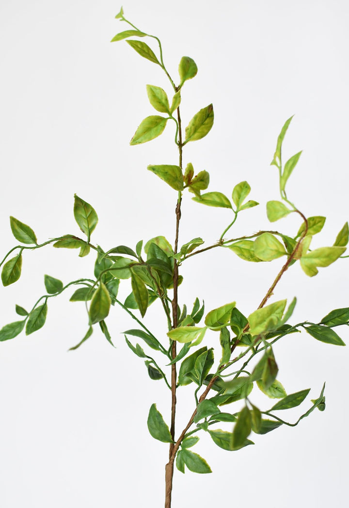 Nandina Leaf Stem, 32"