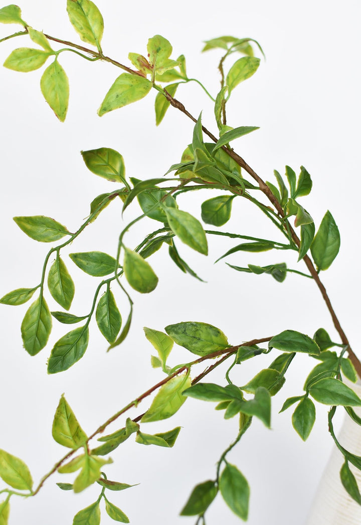 Nandina Leaf Stem, 32"