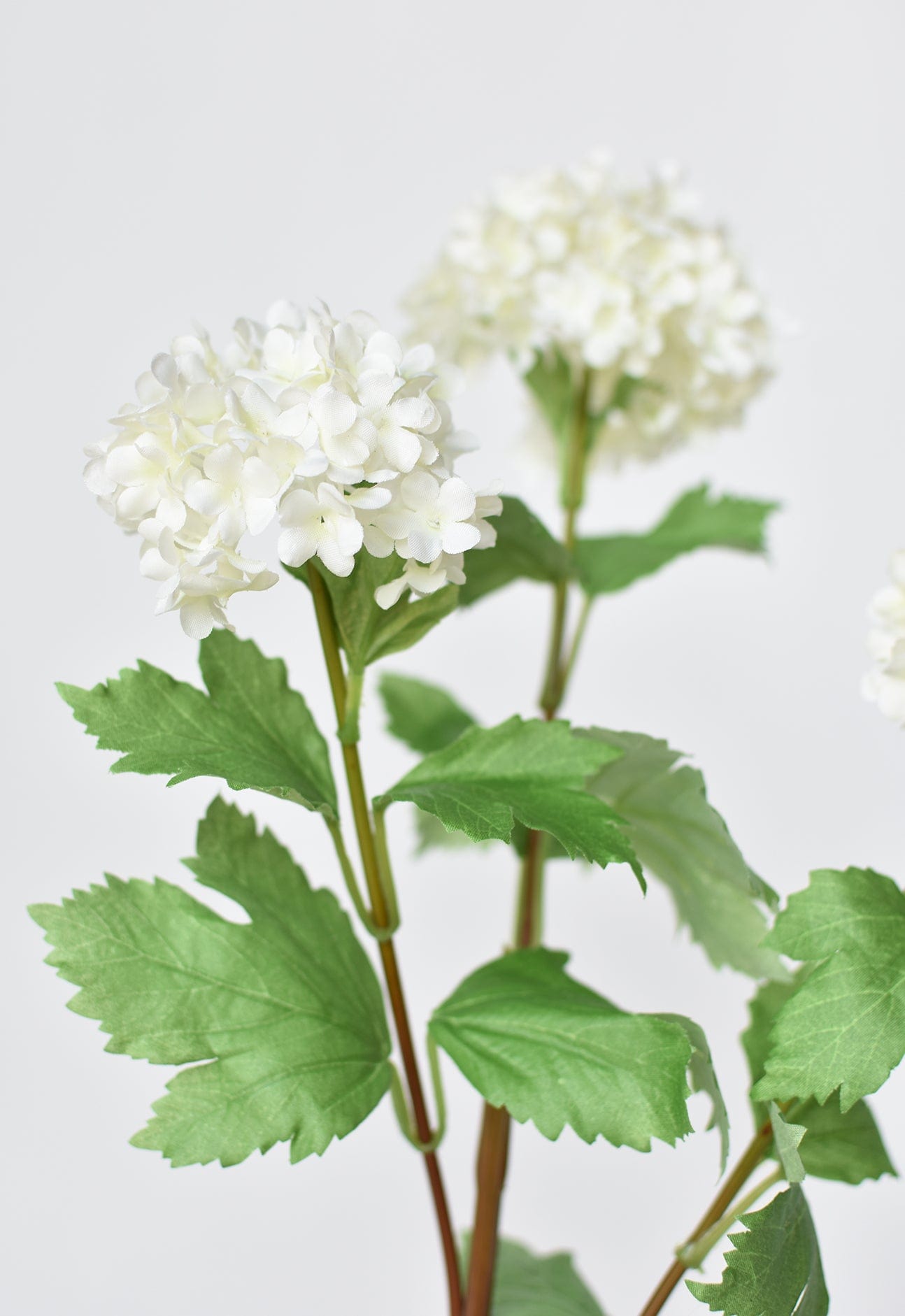 Snowball Hydrangea Stem, 29", White