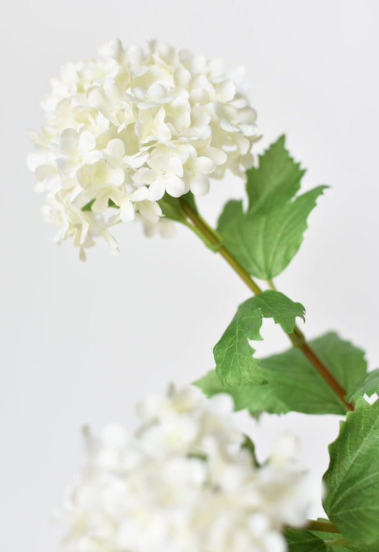 Snowball Hydrangea Stem, 29", White