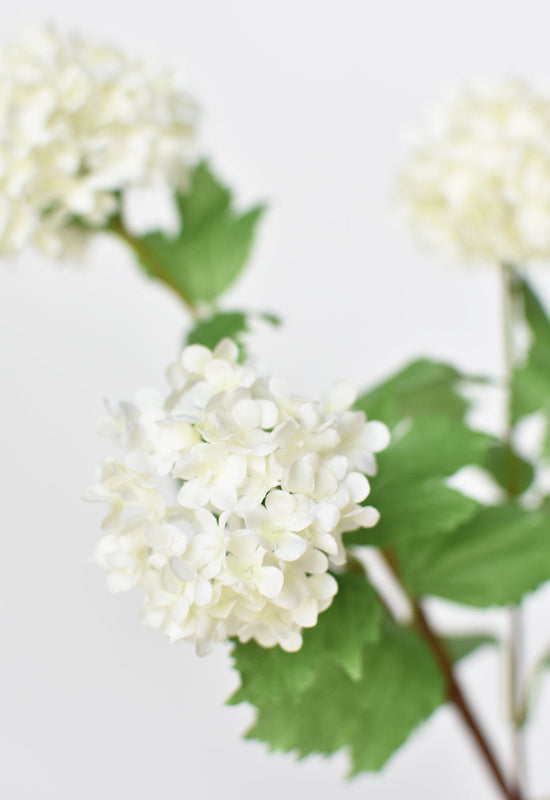 Snowball Hydrangea Stem, 29", White