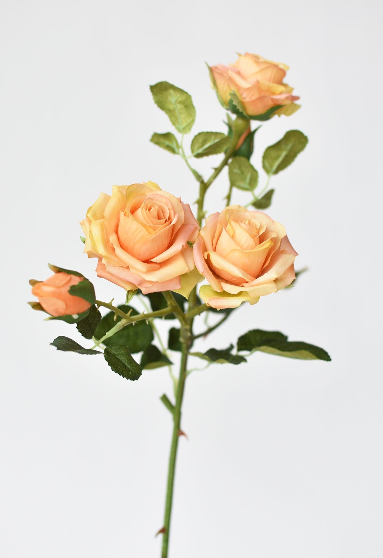 Rose Stem, 22.5", Peach & Orange & Yellow