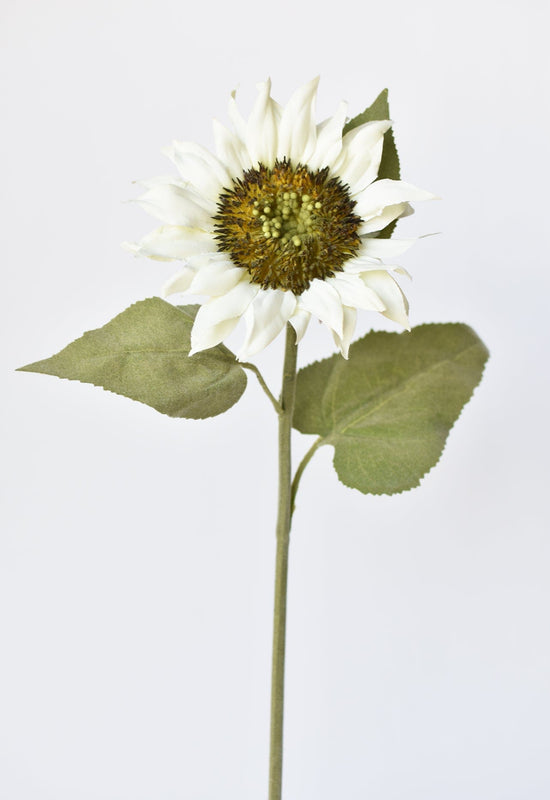 Sunflower Stem, 25", White