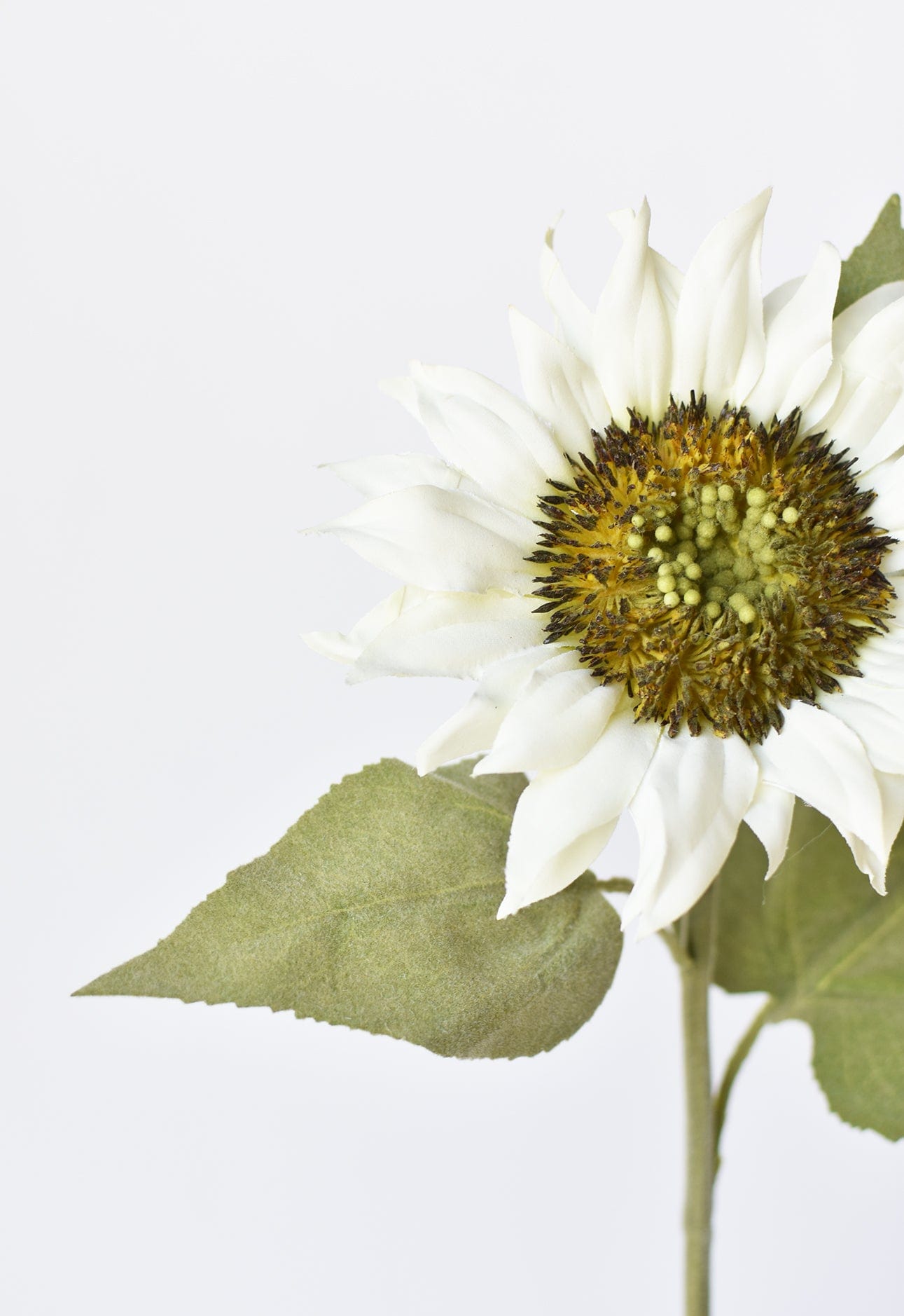 Sunflower Stem, 25", White