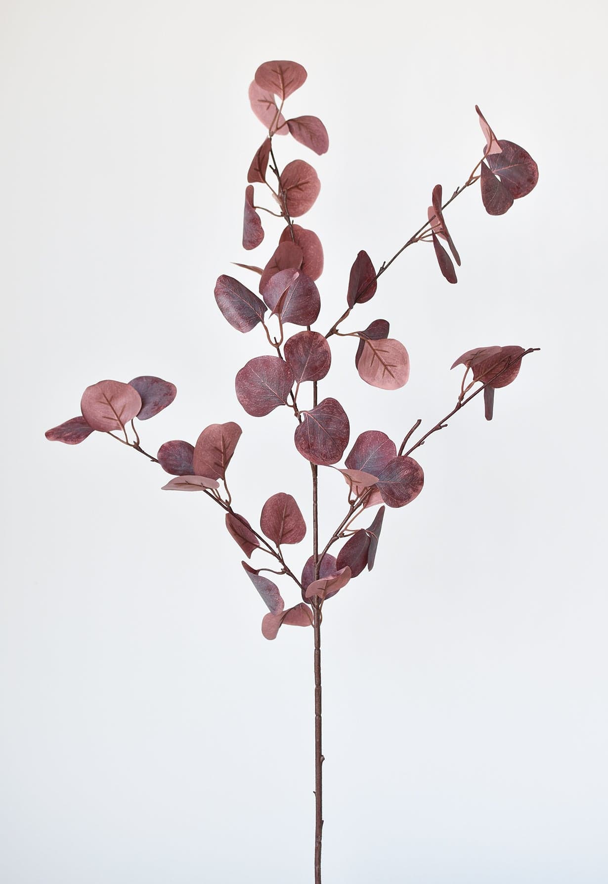 Gumdrop Eucalyptus Stem, 36", Burgundy