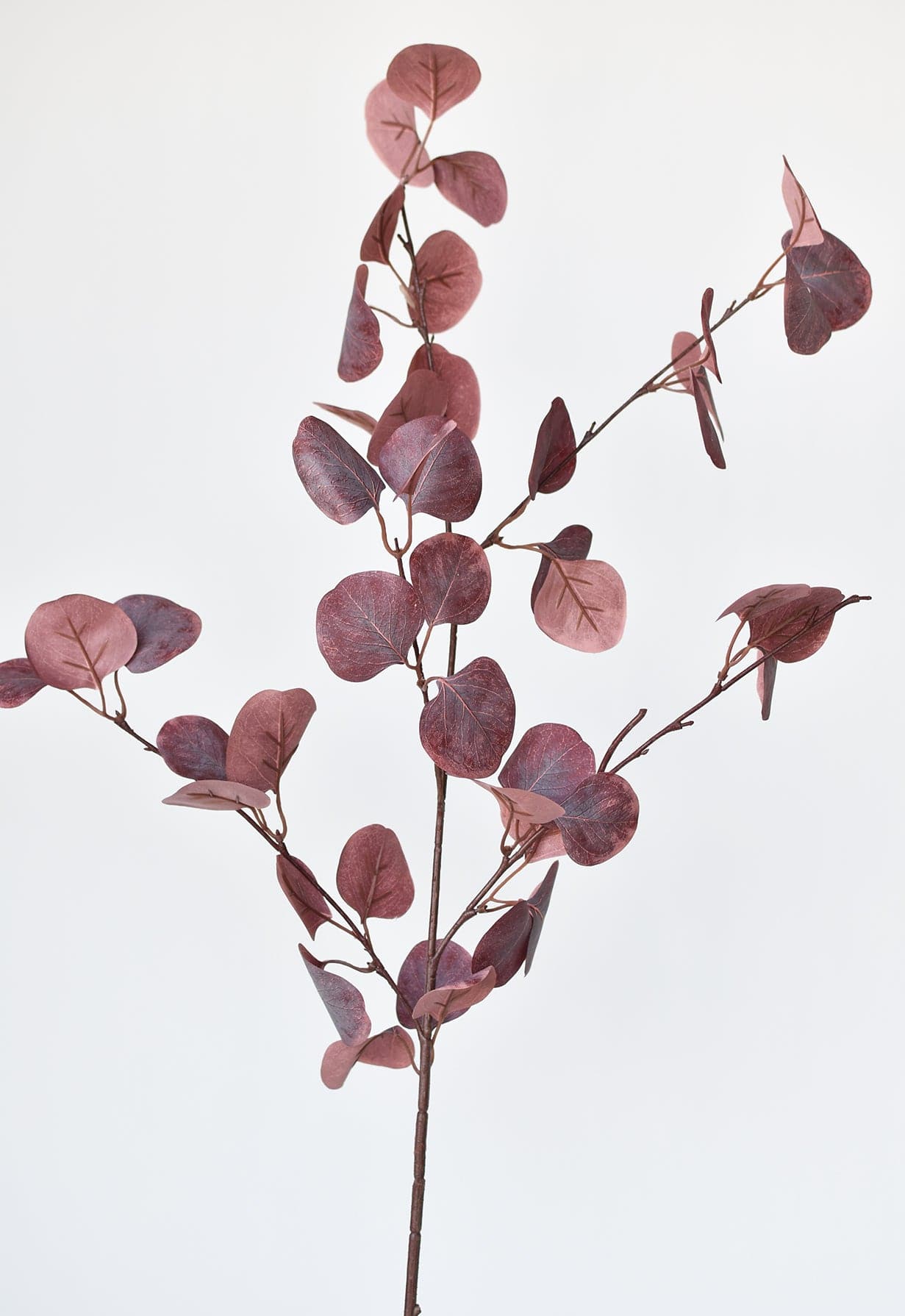 Gumdrop Eucalyptus Stem, 36", Burgundy