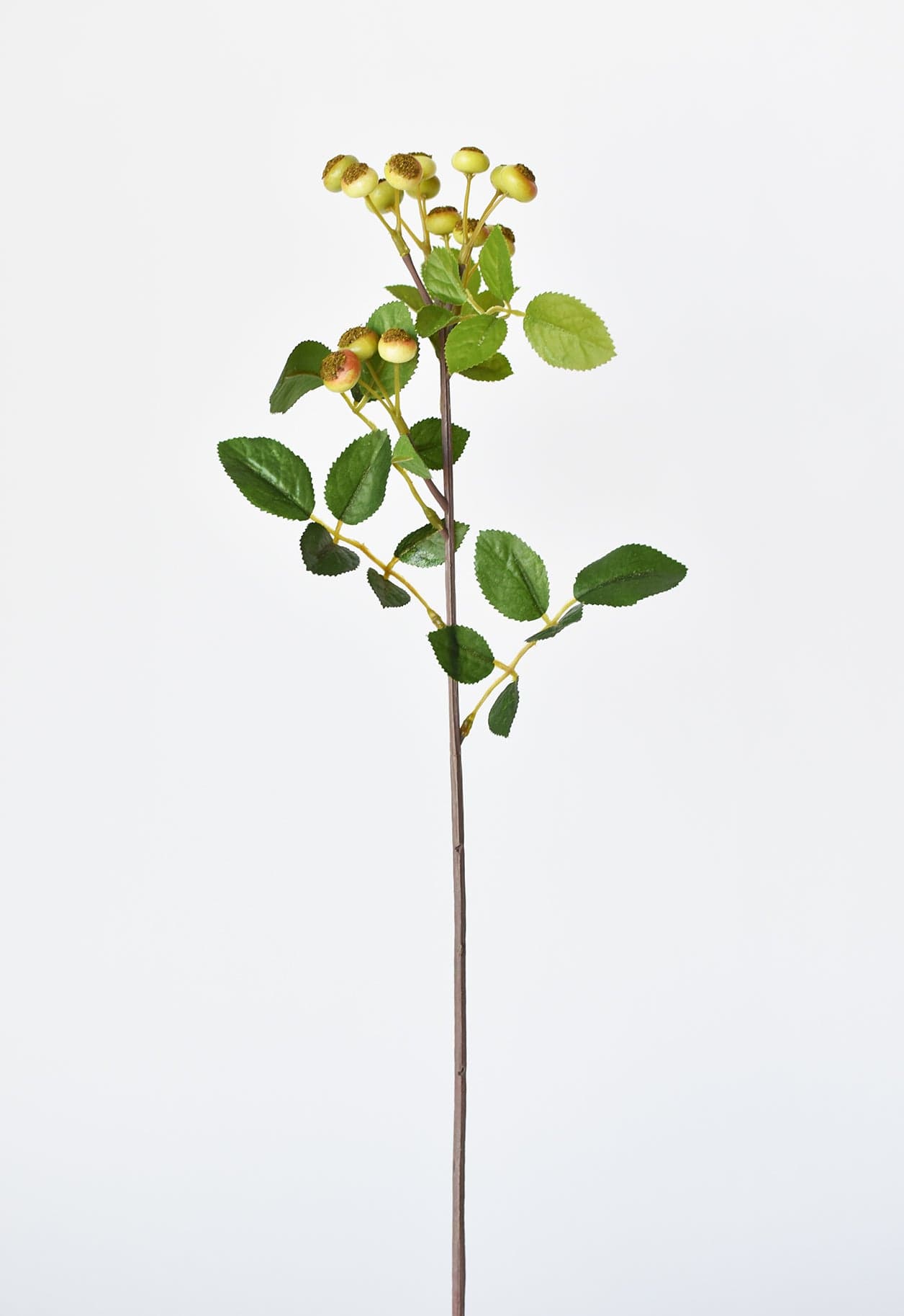 Rosehip Berry Stem, 23"