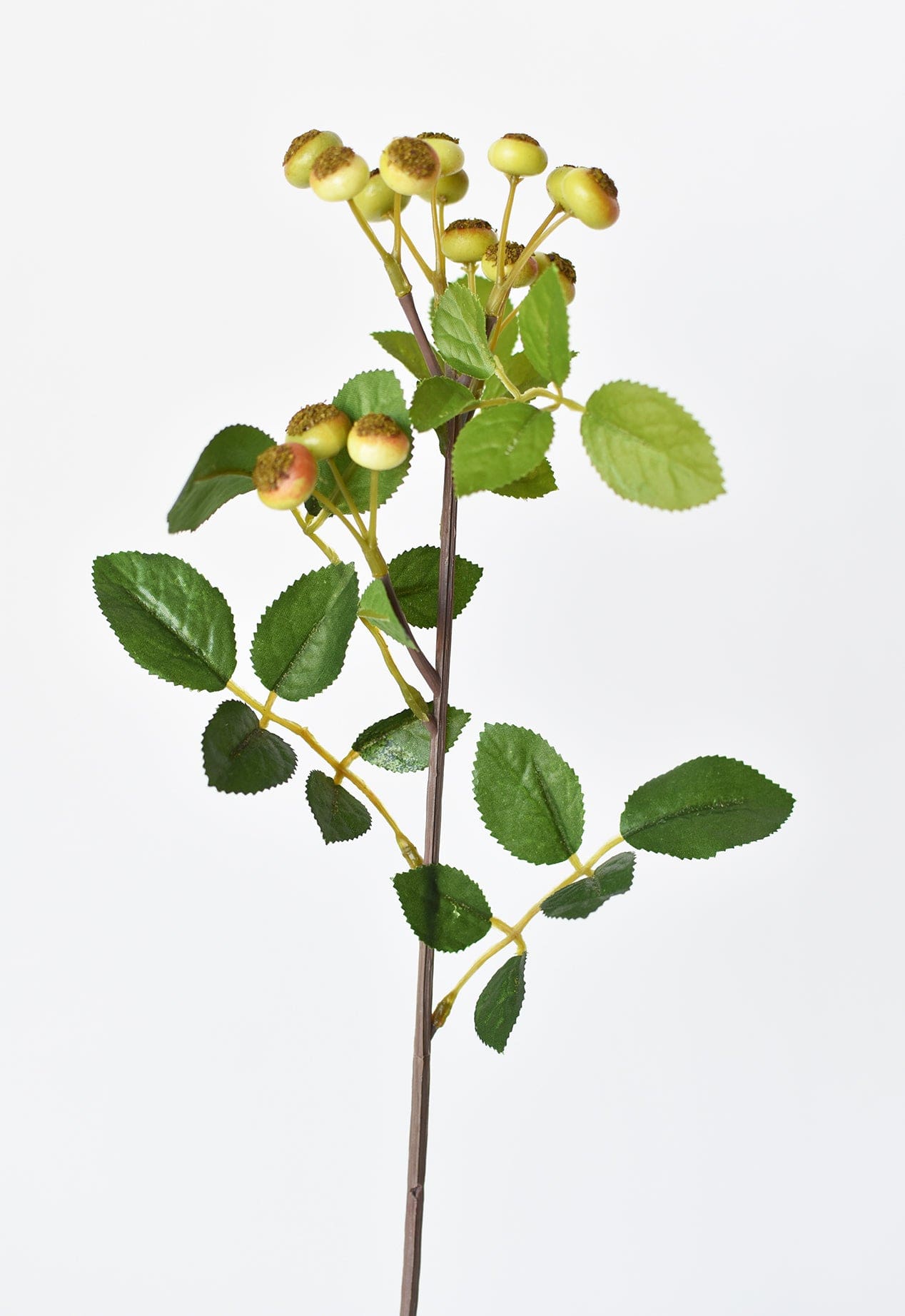 Rosehip Berry Stem, 23"