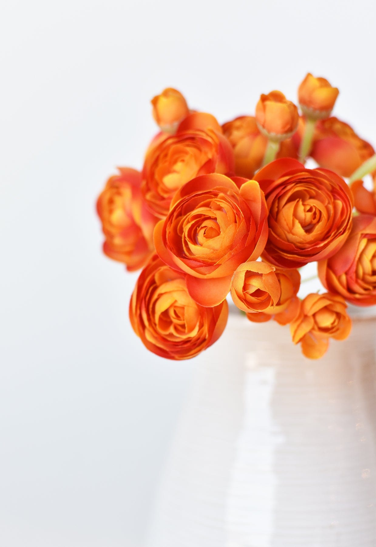 Ranunculus Stem Bundle, 10.5", Peachy Orange