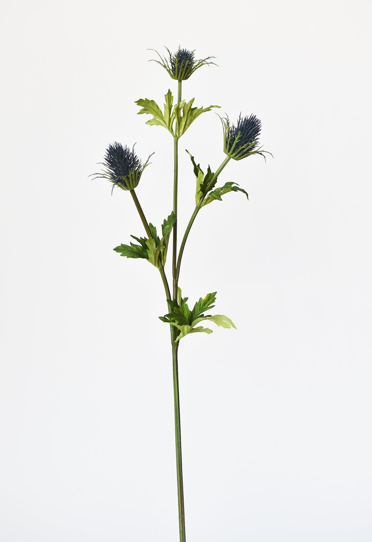 Thistle Stem, 32.5", Blue