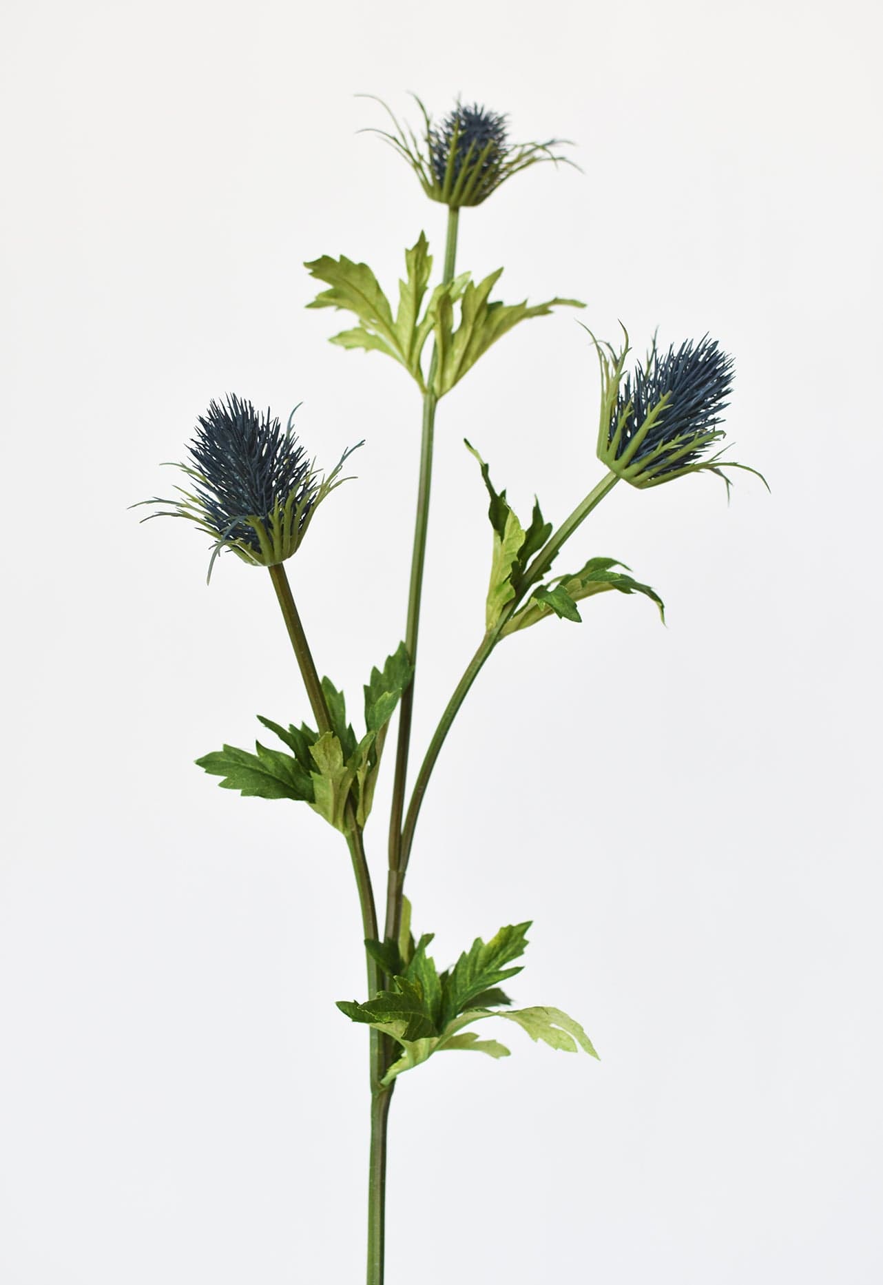 Thistle Stem, 32.5", Blue