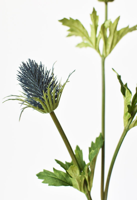 Thistle Stem, 32.5", Blue