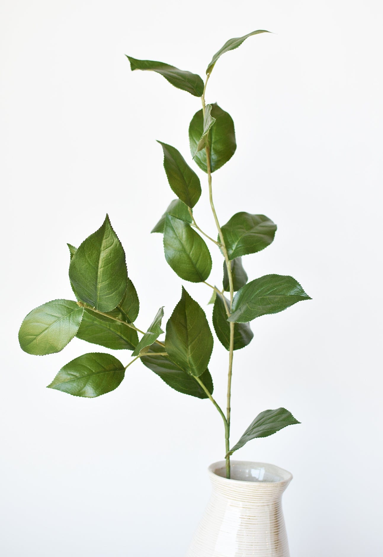 Lemon Leaf Branch, 36"