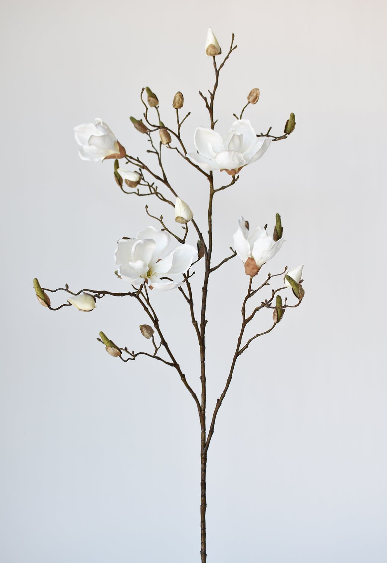 Magnolia Branch, 40"