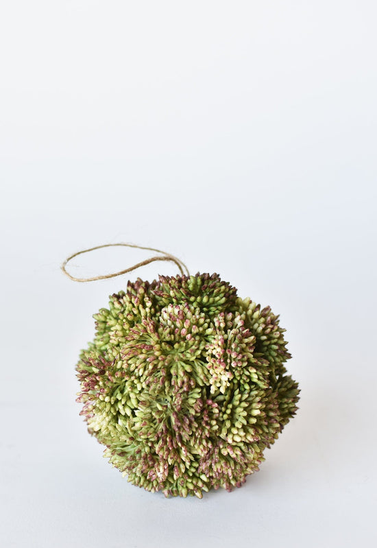 Sedum Ball, 4", Green