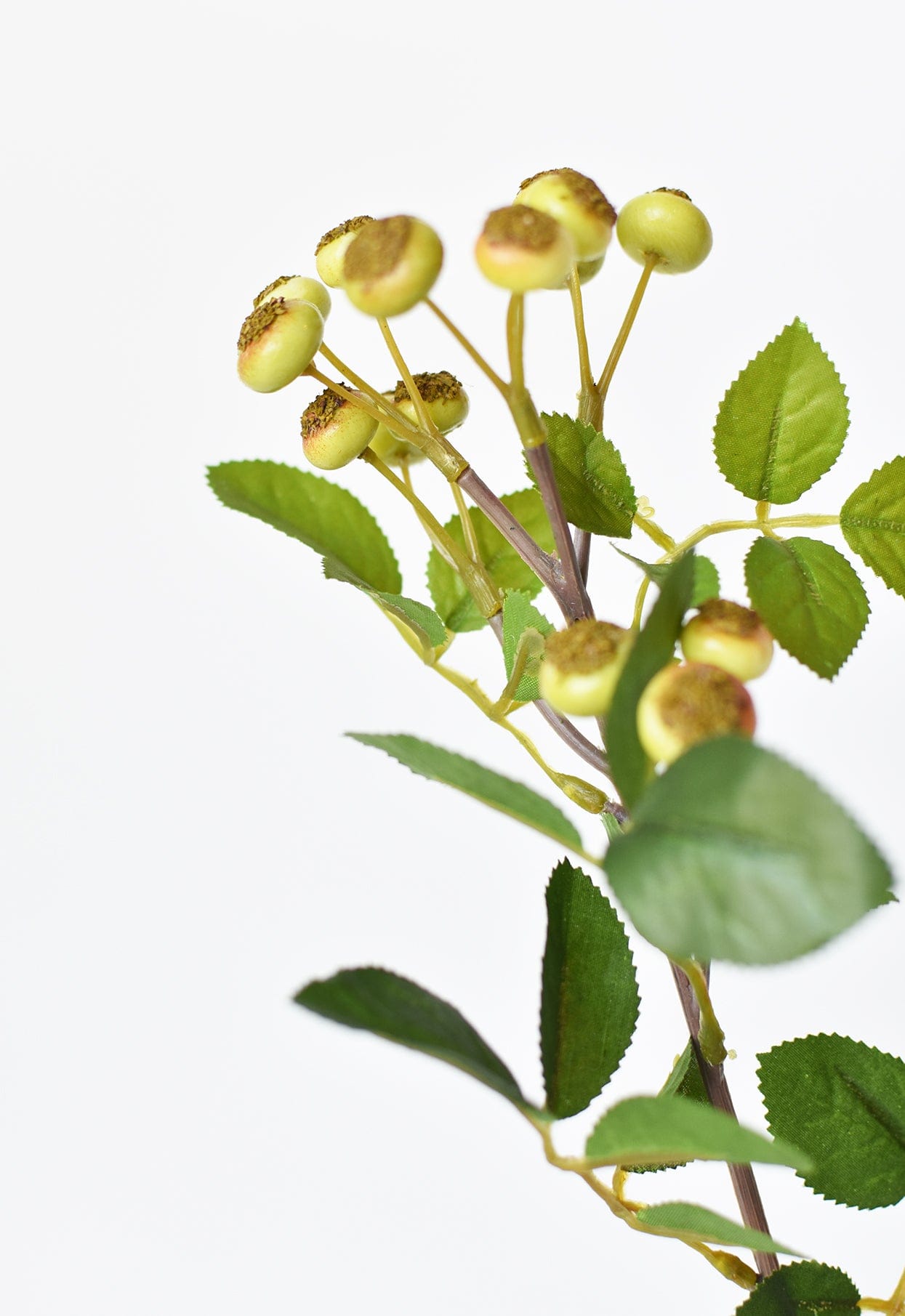 Rosehip Berry Stem, 23"