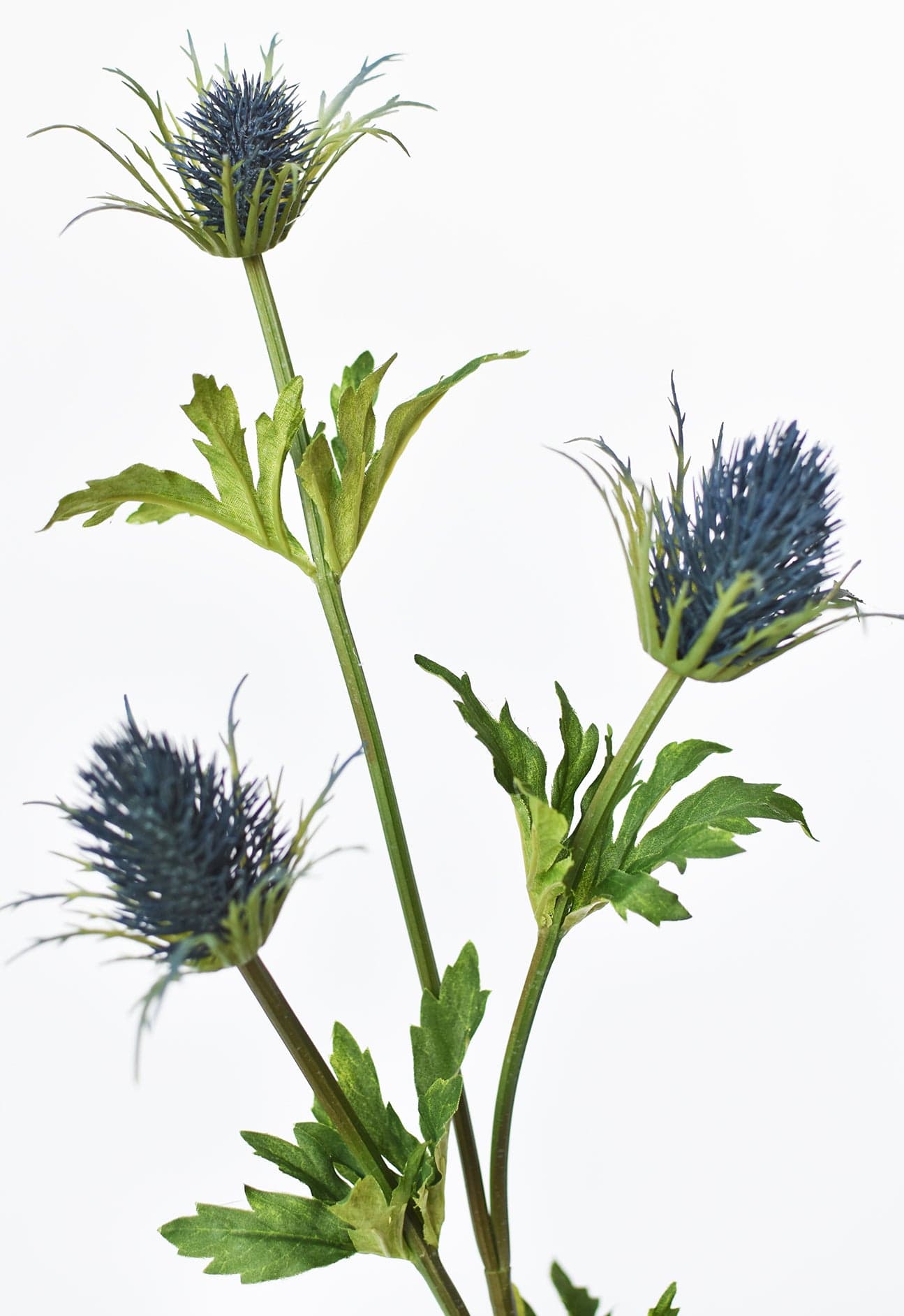 Thistle Stem, 32.5", Blue