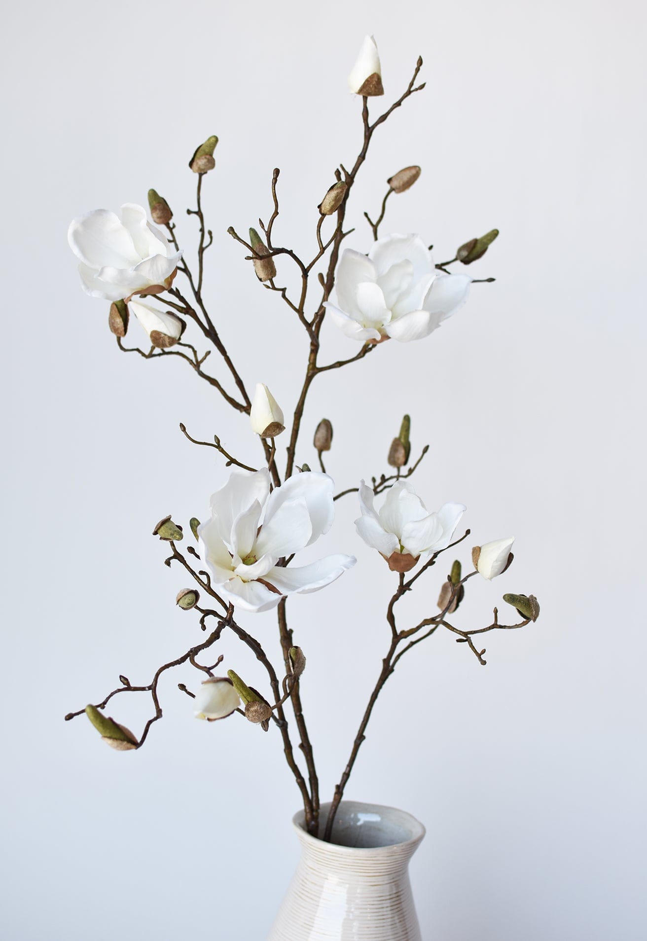 Magnolia Branch, 40"