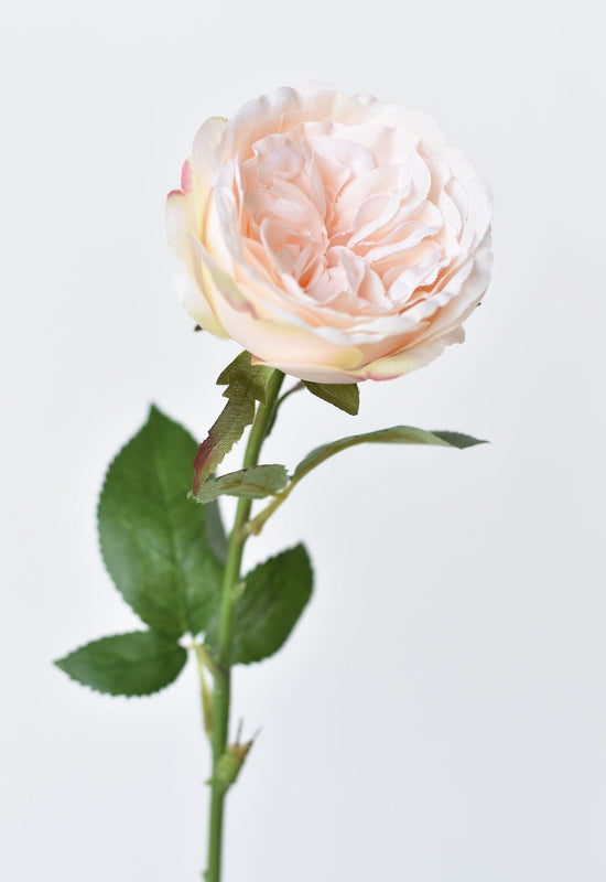 Rose Stem, 20.5", Light Peach Pink