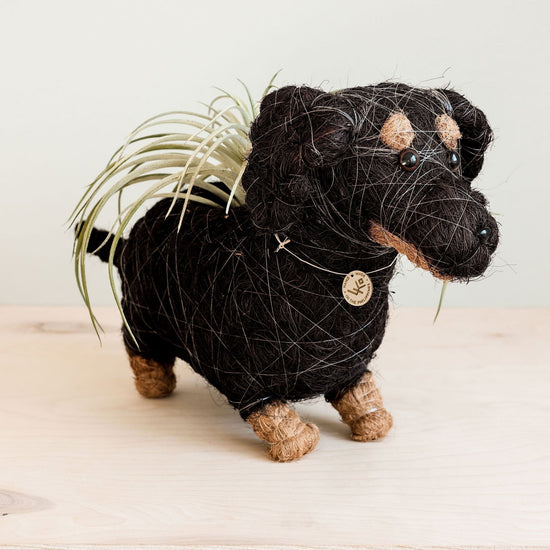 Dachshund Planter - Mac & Mabel