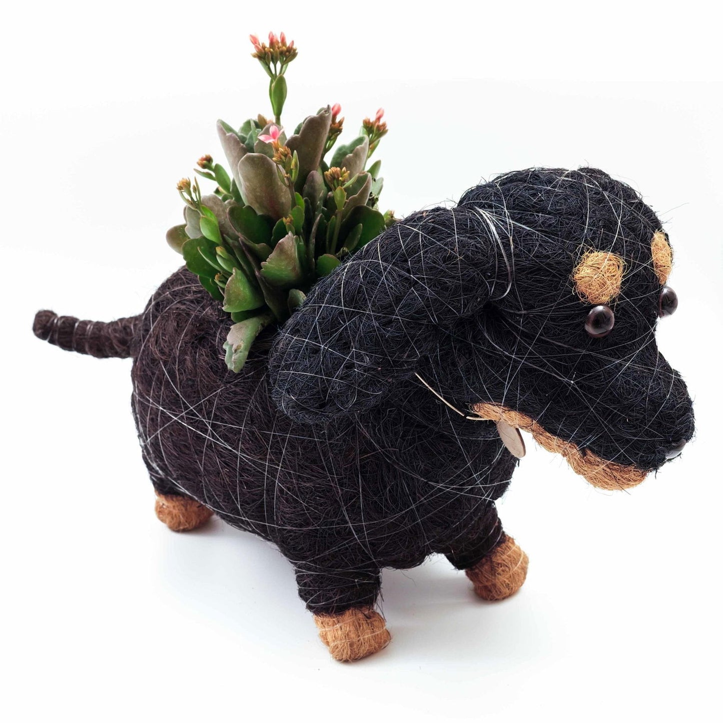 Dachshund Planter - Mac & Mabel