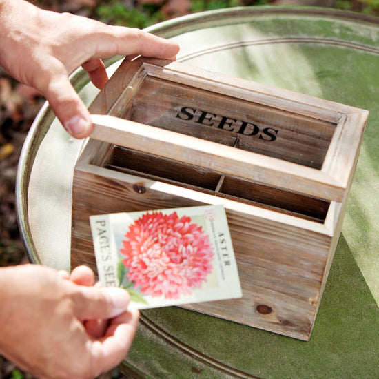 Seed Packet Box