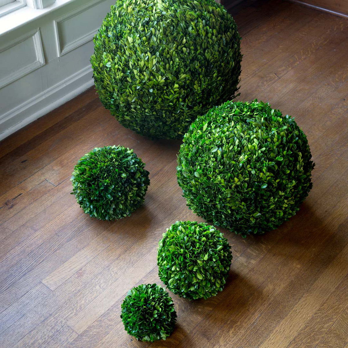 Preserved Boxwood Ball, 10"