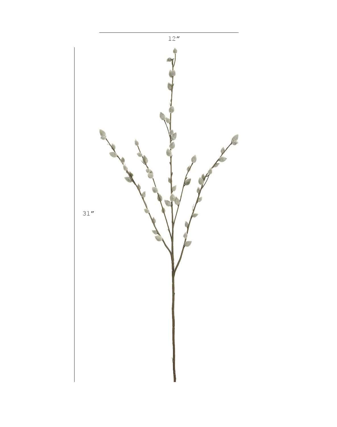 Pussy Willow Stem, 31"