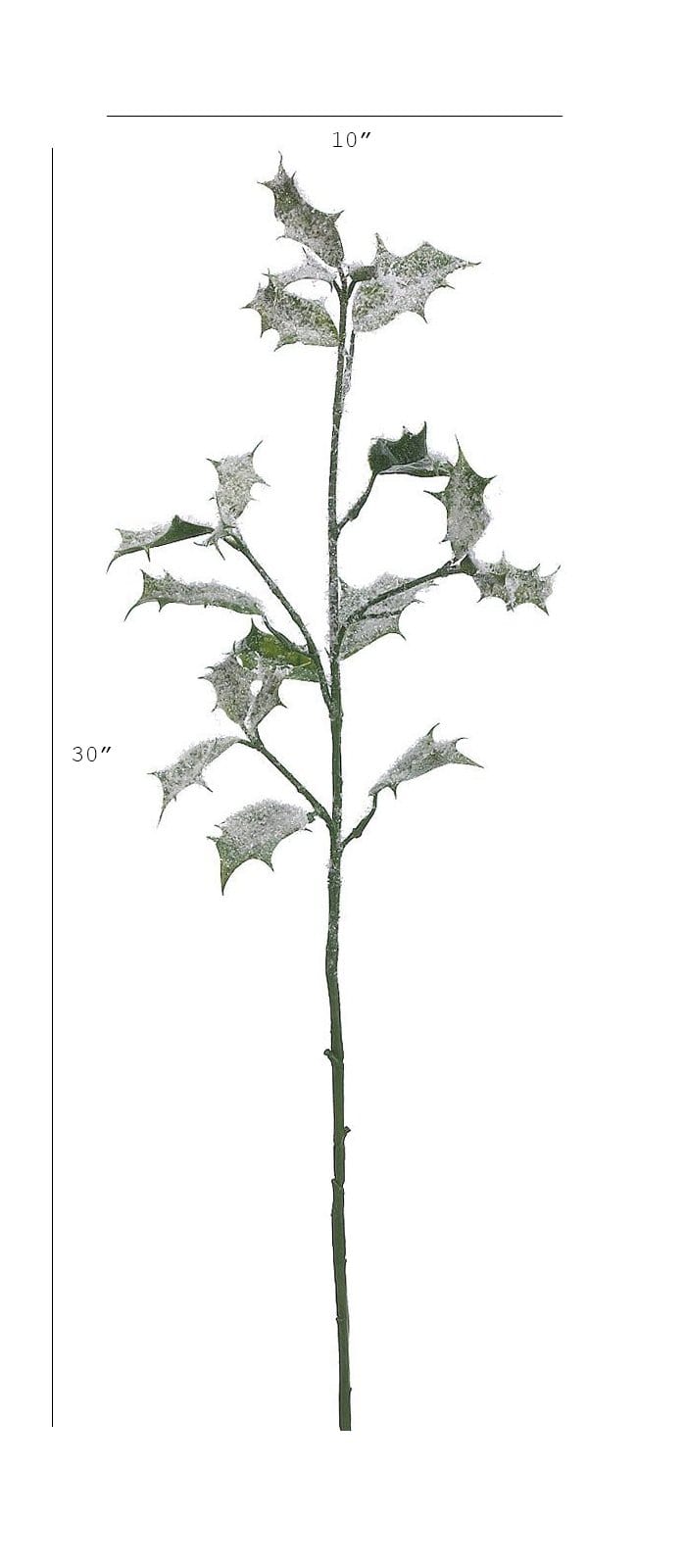 Winter Holly Stem, 30"