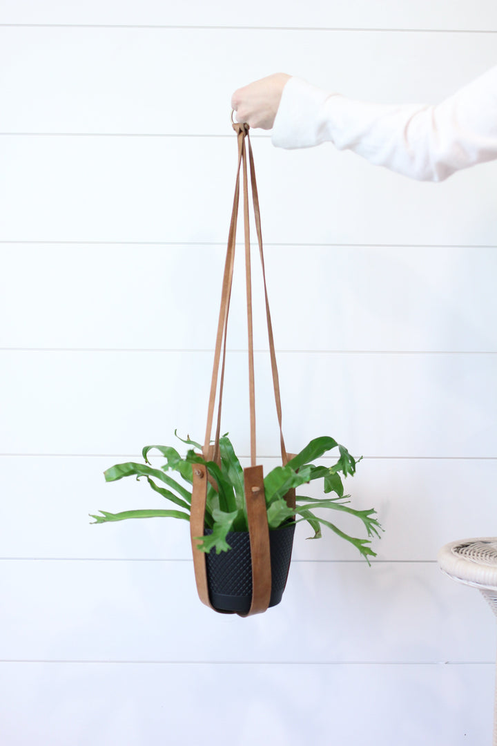 Large Flourish Leather Plant Hanger