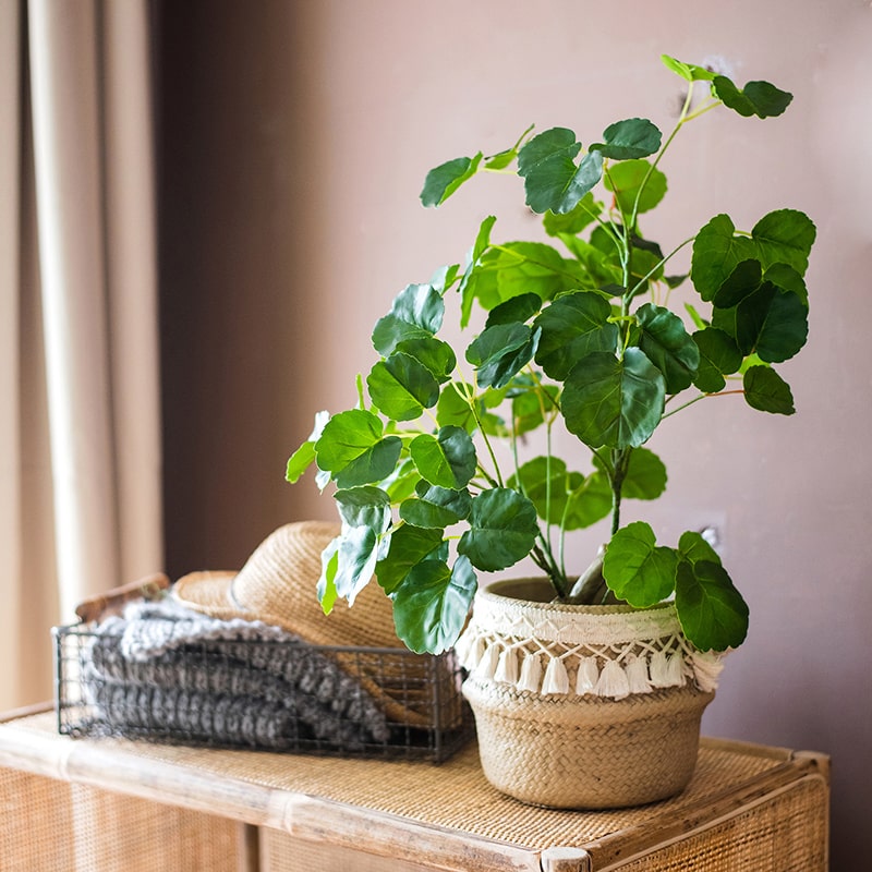 Silk Artificial Apple Banyan Leaf Tree In Pot