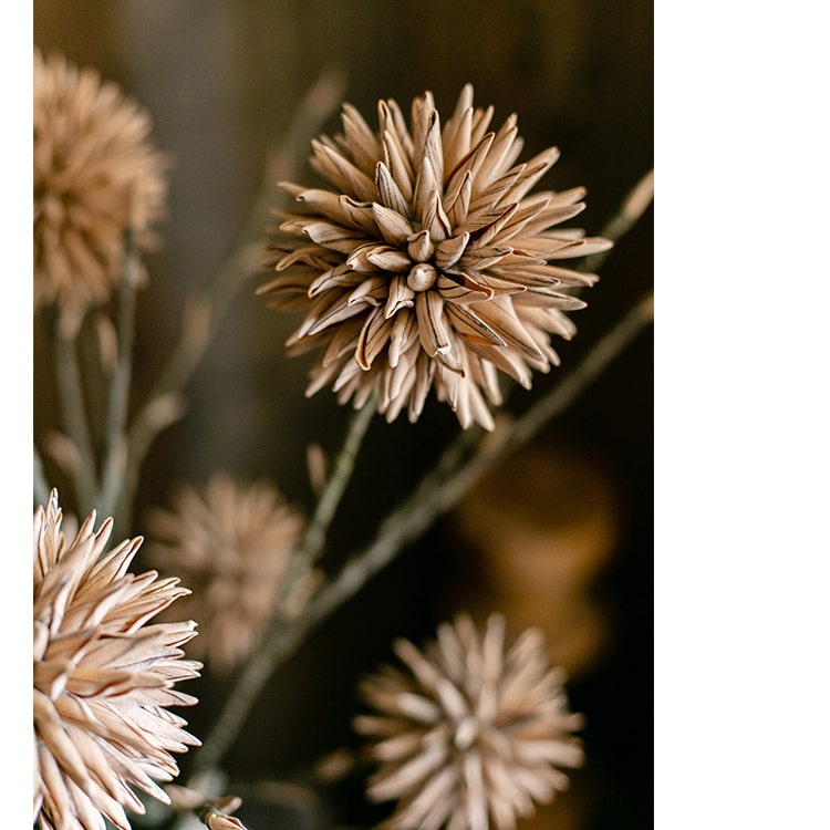 Round Camel Color Ball Flower on Twig Stem 34" Tall