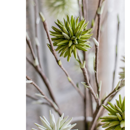 Round Ball Flower on Twig Stem in Green