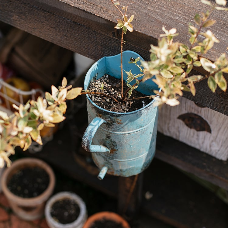 Rustic Blue Iron Flowerpot w/ Handle