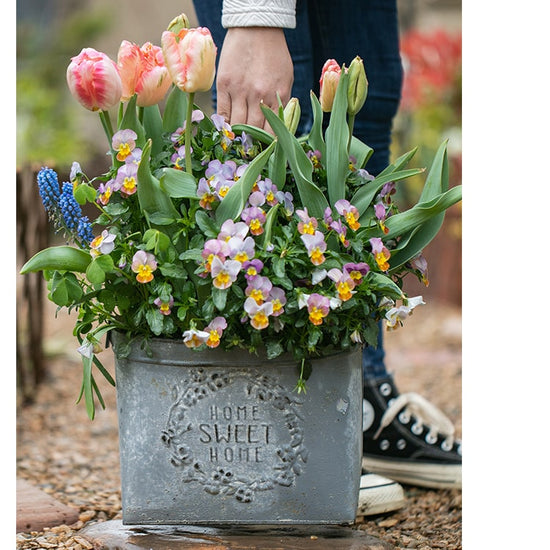 Iron Carry Flower Pot Gray Sweet Home