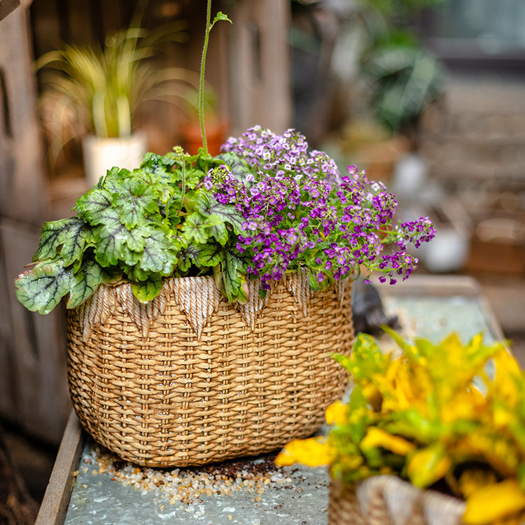 Lady Straw Basket Cement Planter