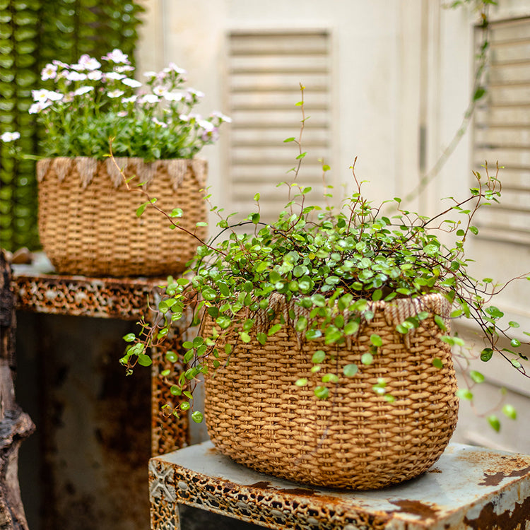 Lady Straw Basket Cement Planter