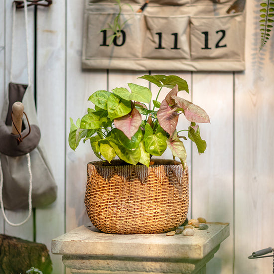 Lady Straw Basket Cement Planter