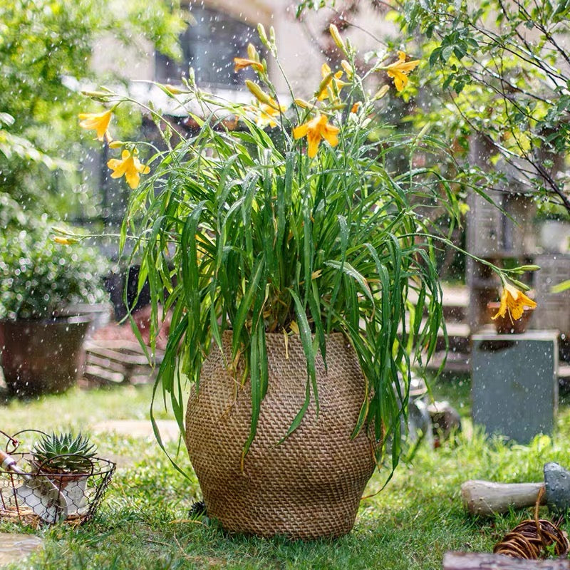 Large Basket Cement Pot Backyard Planter