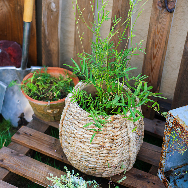 Large Rope Basket Cement Planter