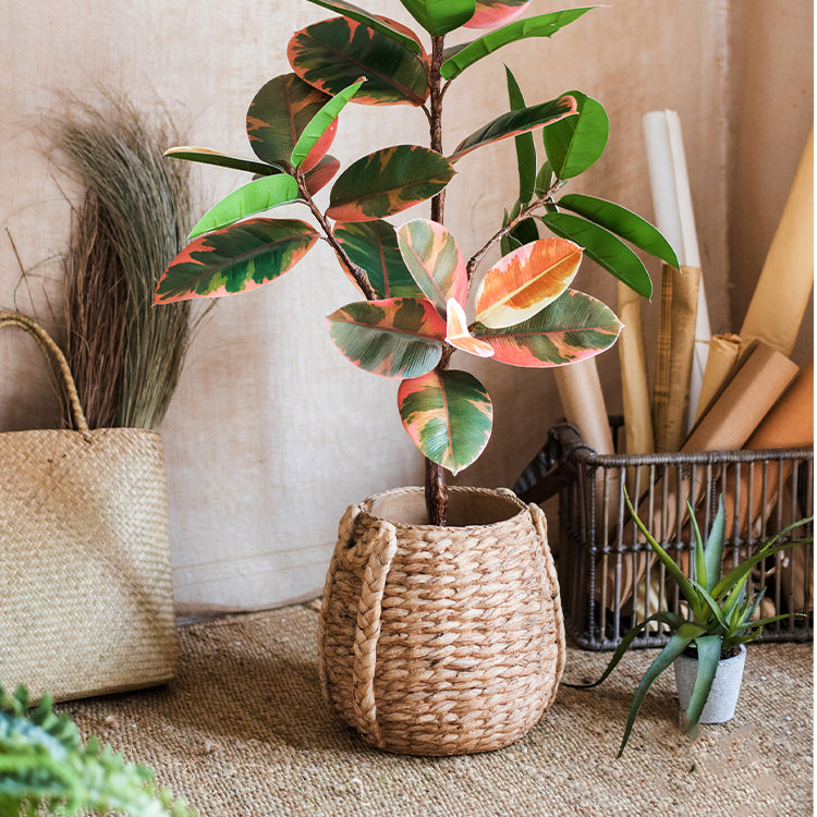 Large Rope Basket Cement Planter