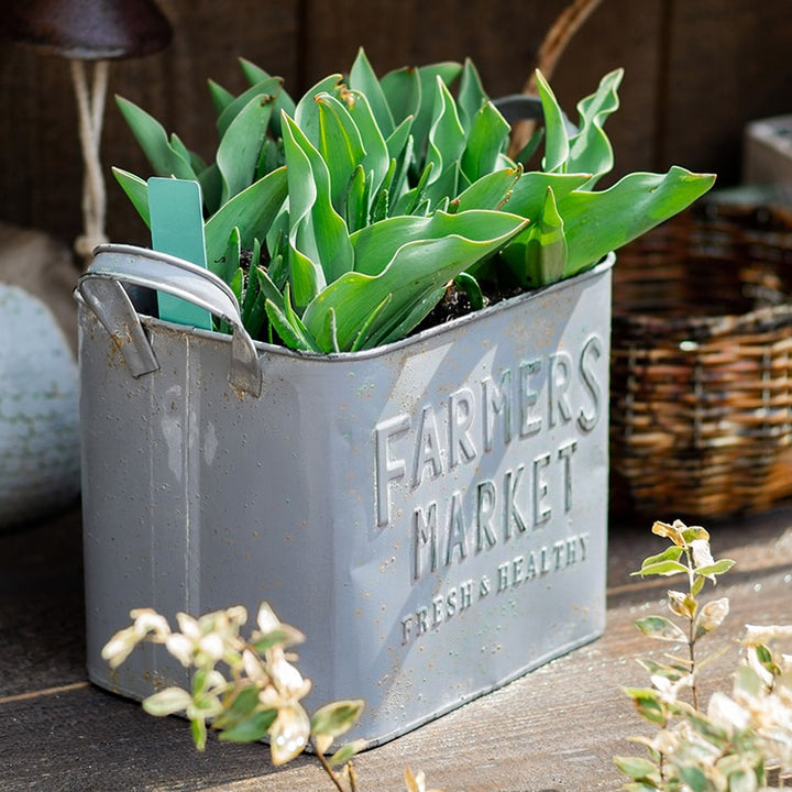 Rectangular Flower Pot Gray Farmers Market