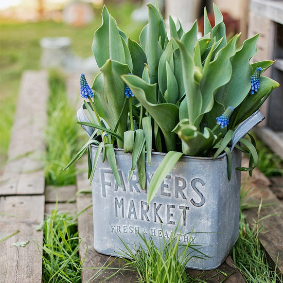 Rectangular Flower Pot Gray Farmers Market