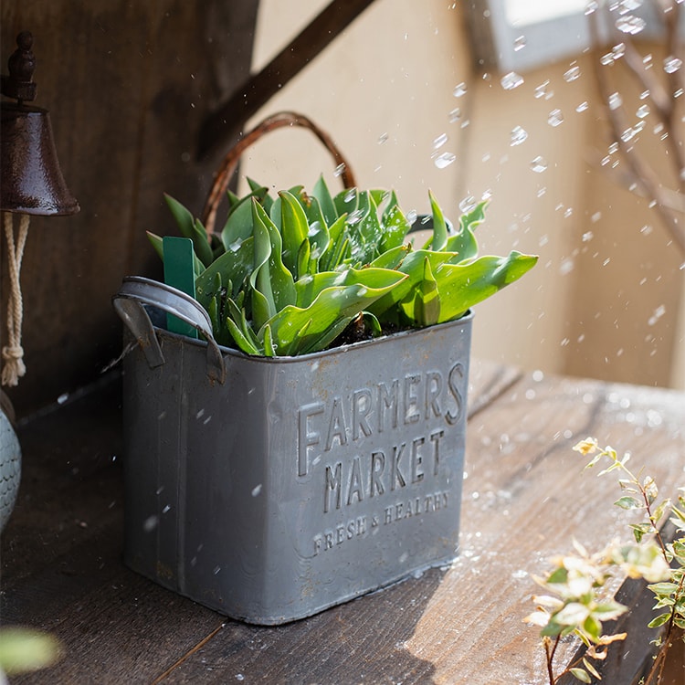 Rectangular Flower Pot Gray Farmers Market