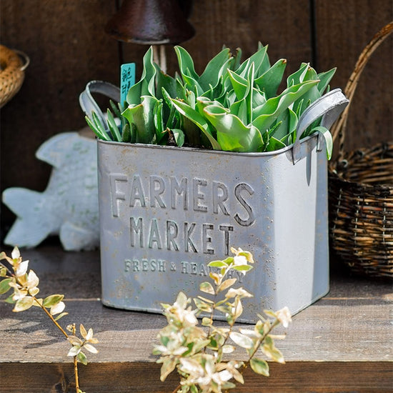 Rectangular Flower Pot Gray Farmers Market