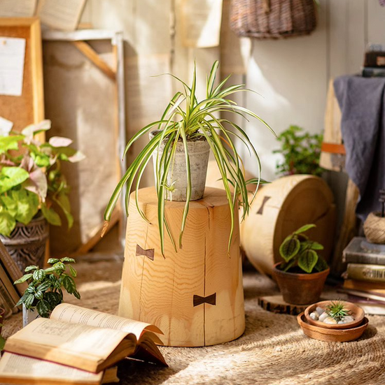 Solid Wood Natural End Table