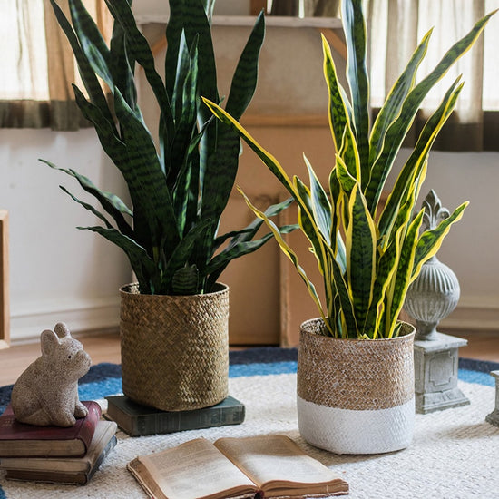 Natural Straw Basket in Different Colors